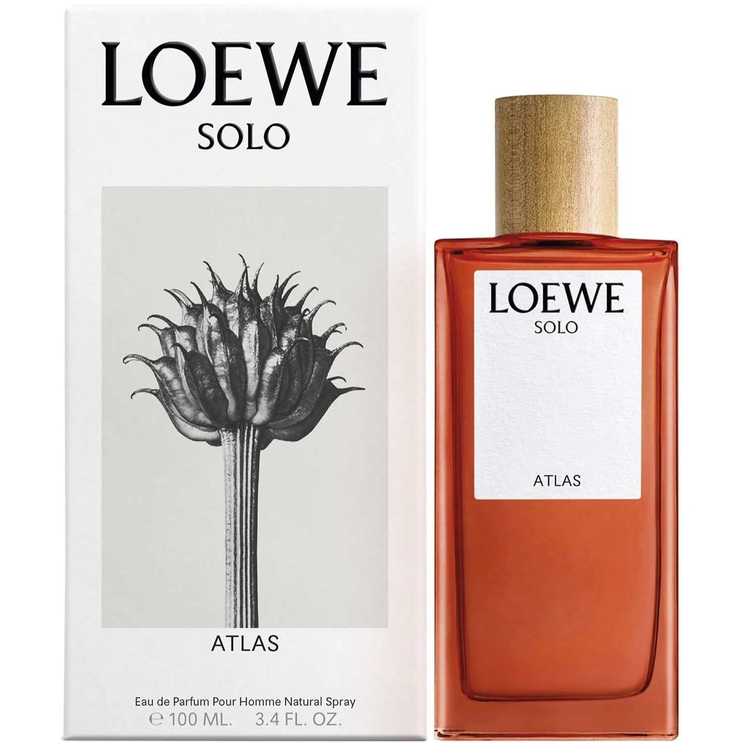 C LOEWE SOLO ATLAS 100ML. EDP