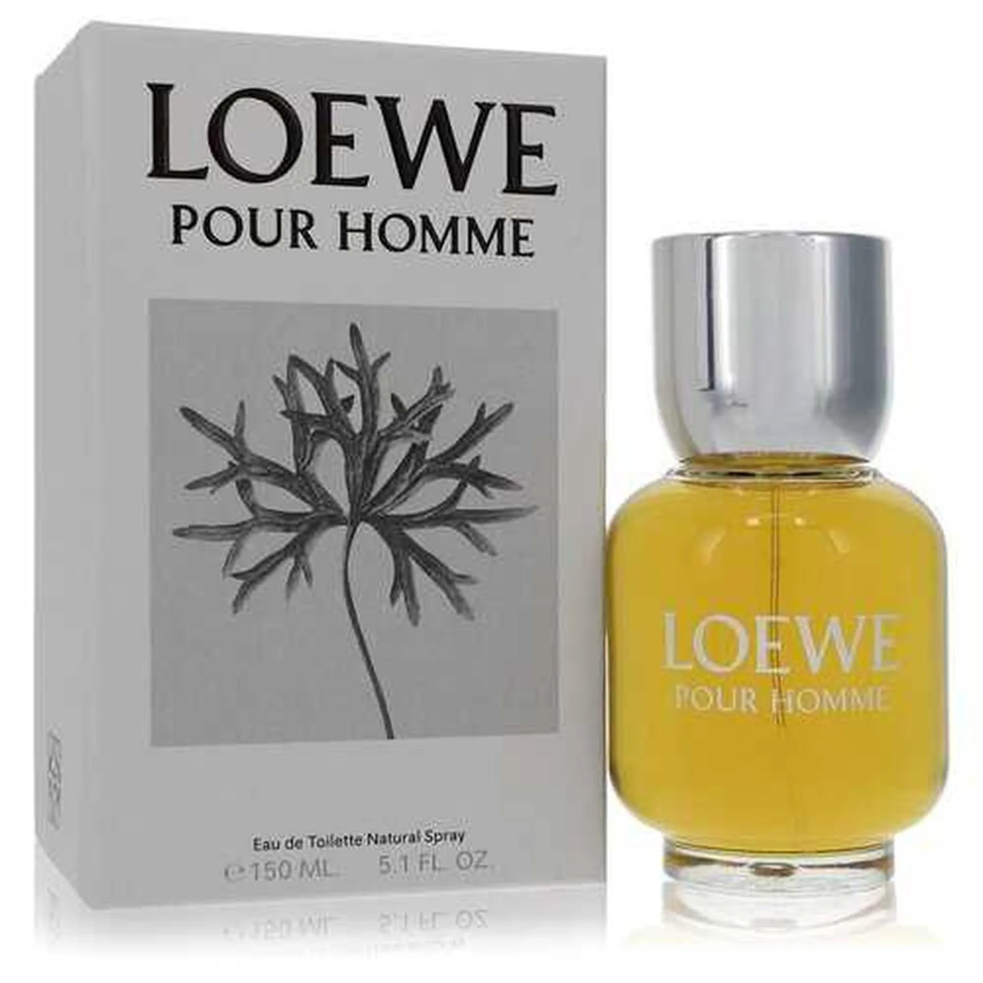 C LOEWE POUR HOMME 150ML. EDT